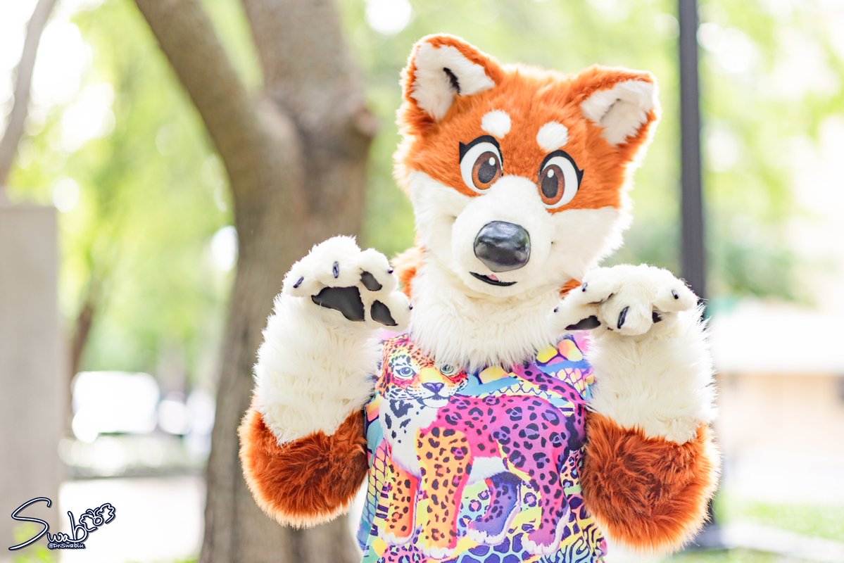 💙 DrSwablu 🔜 FWA AC 💙 tweet media