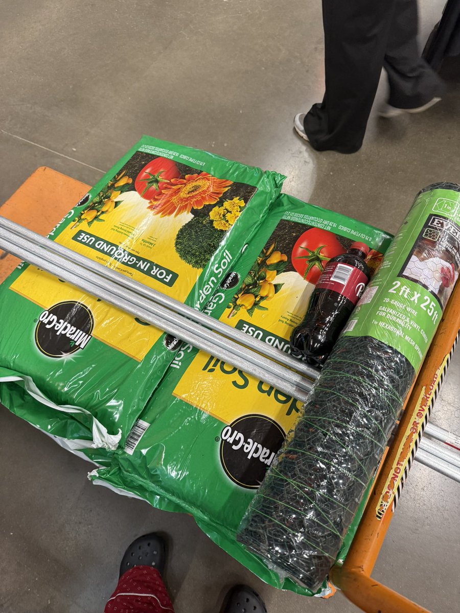 MedeusaVT's tweet photo. Who woulda thought I’d be dragged to do gardening with mamadeusa #VtuberUprising #Vtuber #Gardening https://t.co/UGRSUqG7zo
