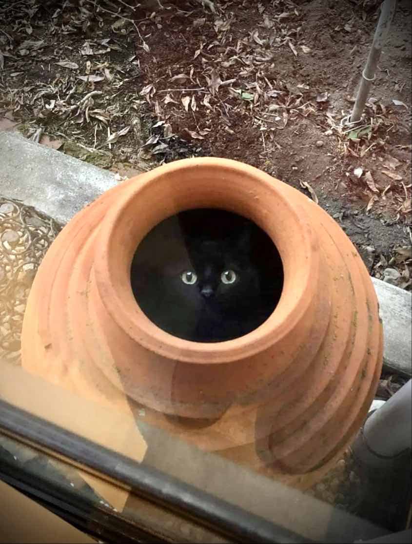 PARA 🧩 tweet media