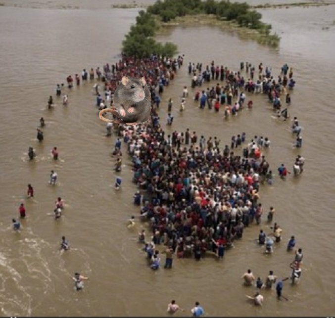 WTF...😂 tweet media