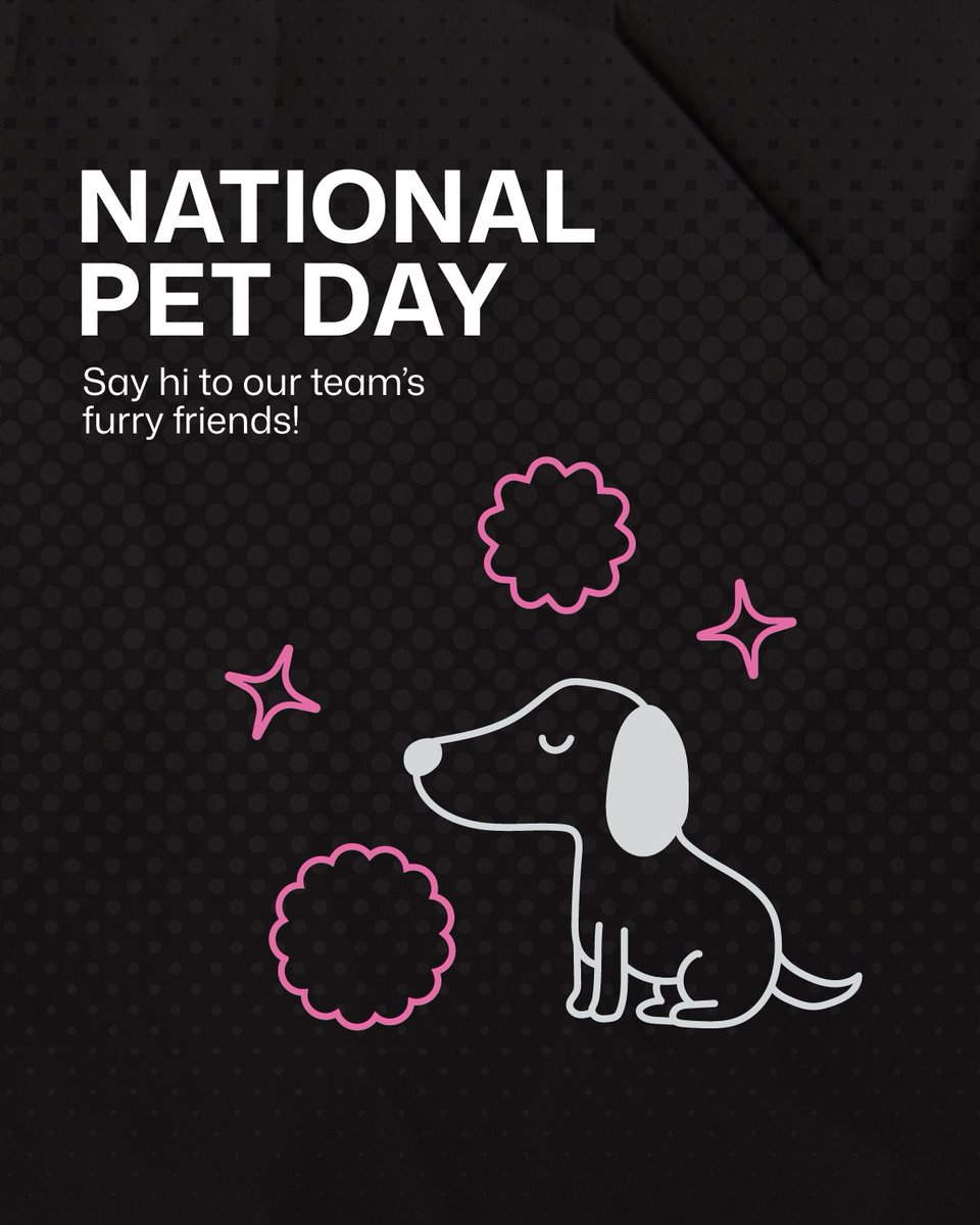 ProverbAgency's tweet photo. Happy National Pet Day! Behind every great team is a group of even greater pets, here's our team's furry friends 🐾 https://t.co/U4U6h0CUHt