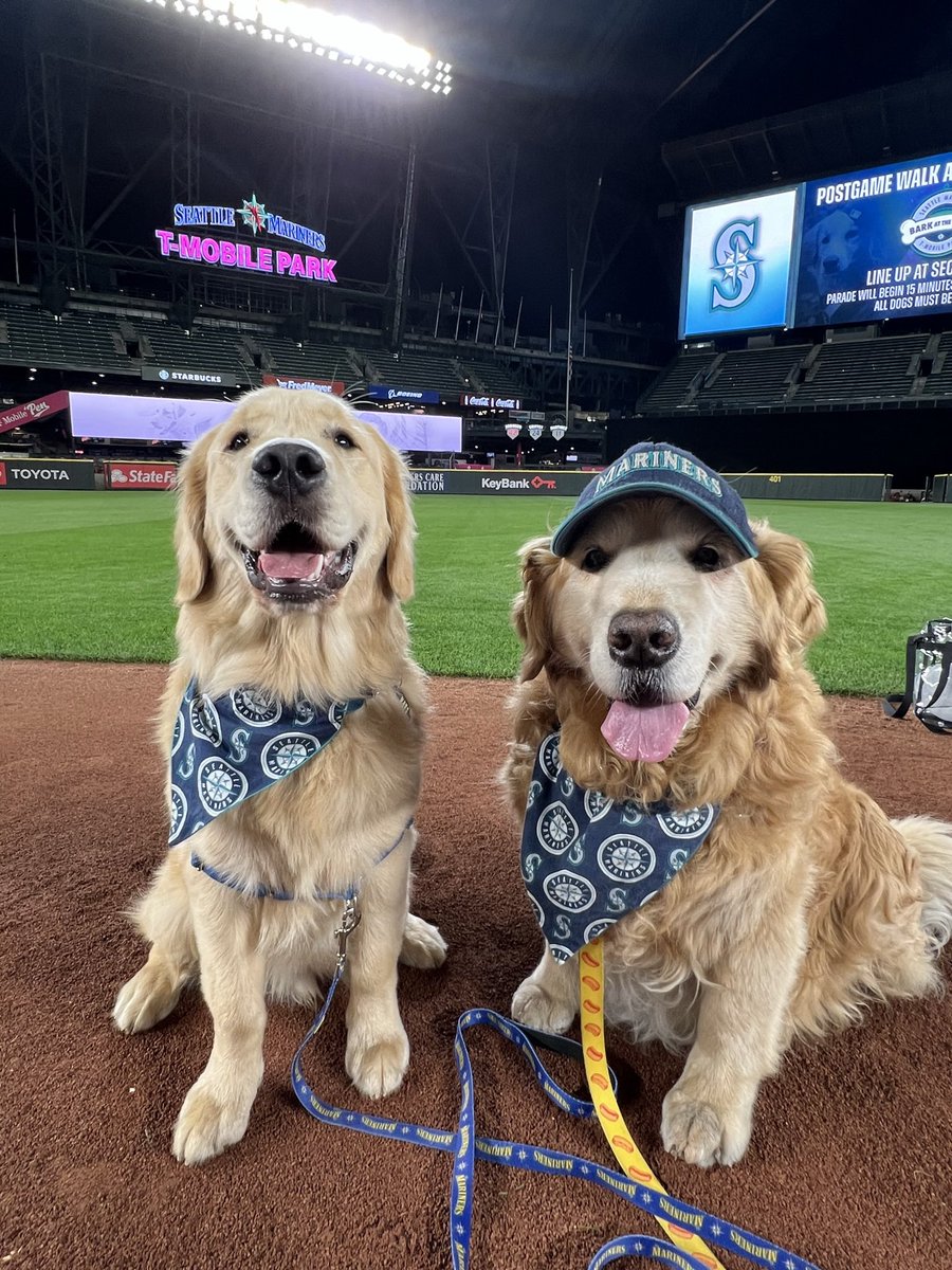 Dash & Chase 🐾 tweet media