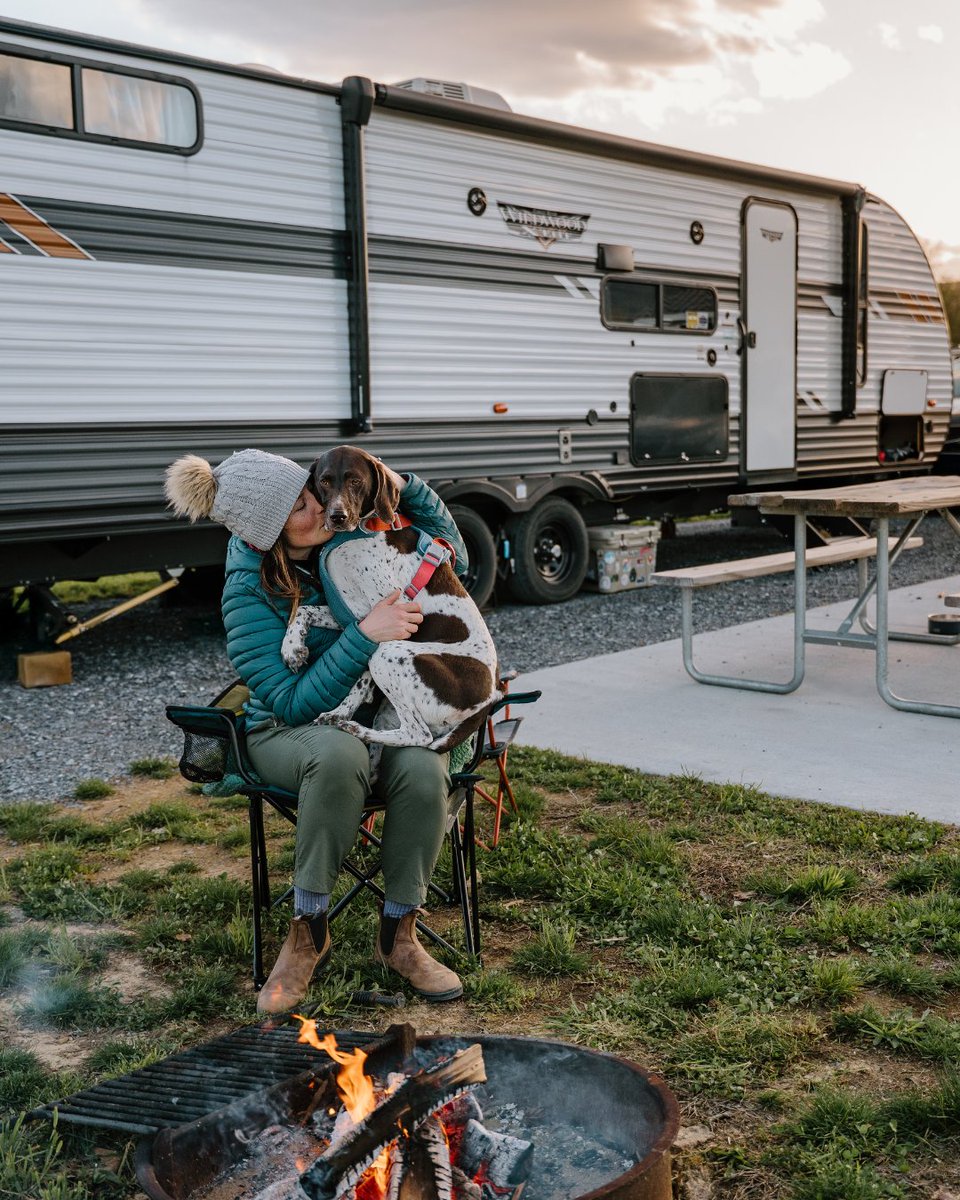 Go RVing tweet media