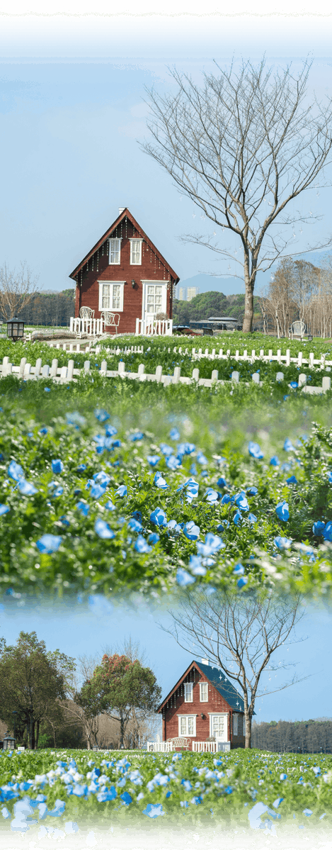 Maha ibrahim tweet media