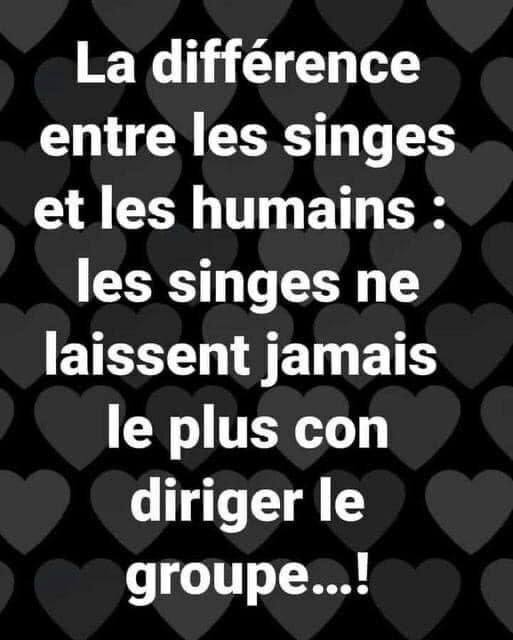 TrainPlayer59 tweet media