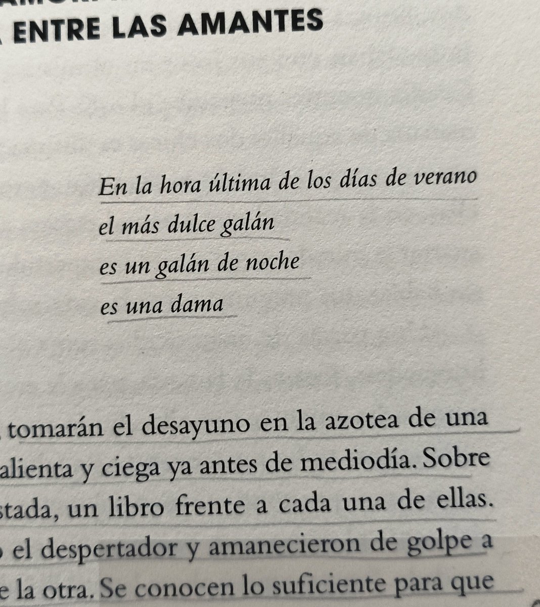 😵‍💫 tweet media