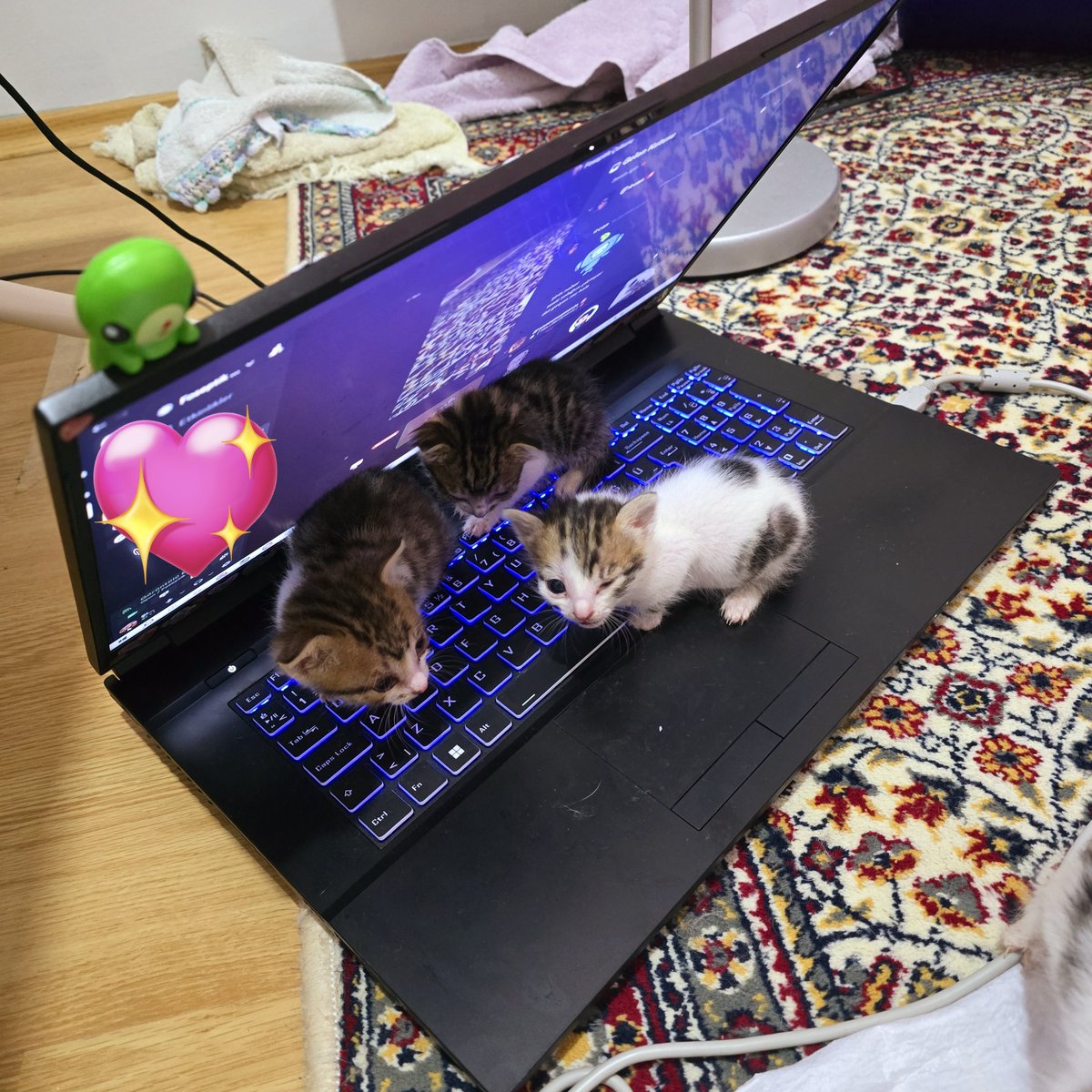 Şirin !!! 🦷🩷 tweet media