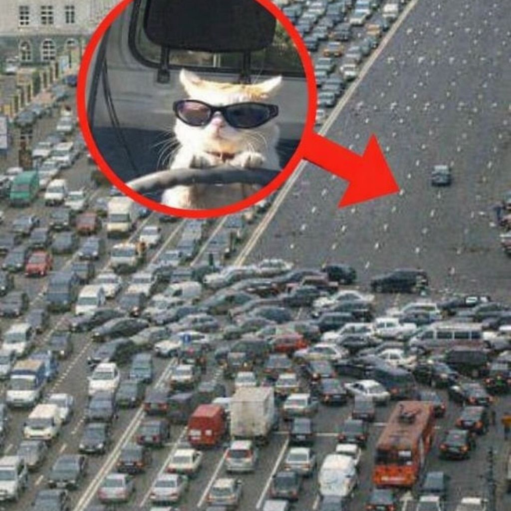 messed up cars tweet media