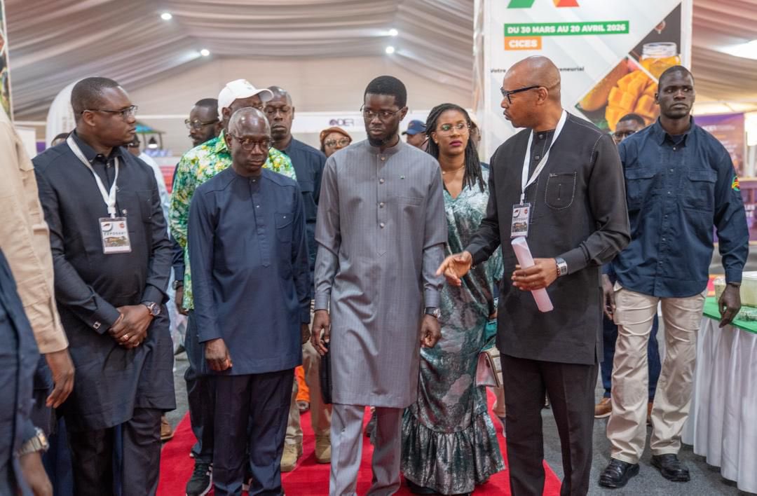 Alpha Thiam tweet media