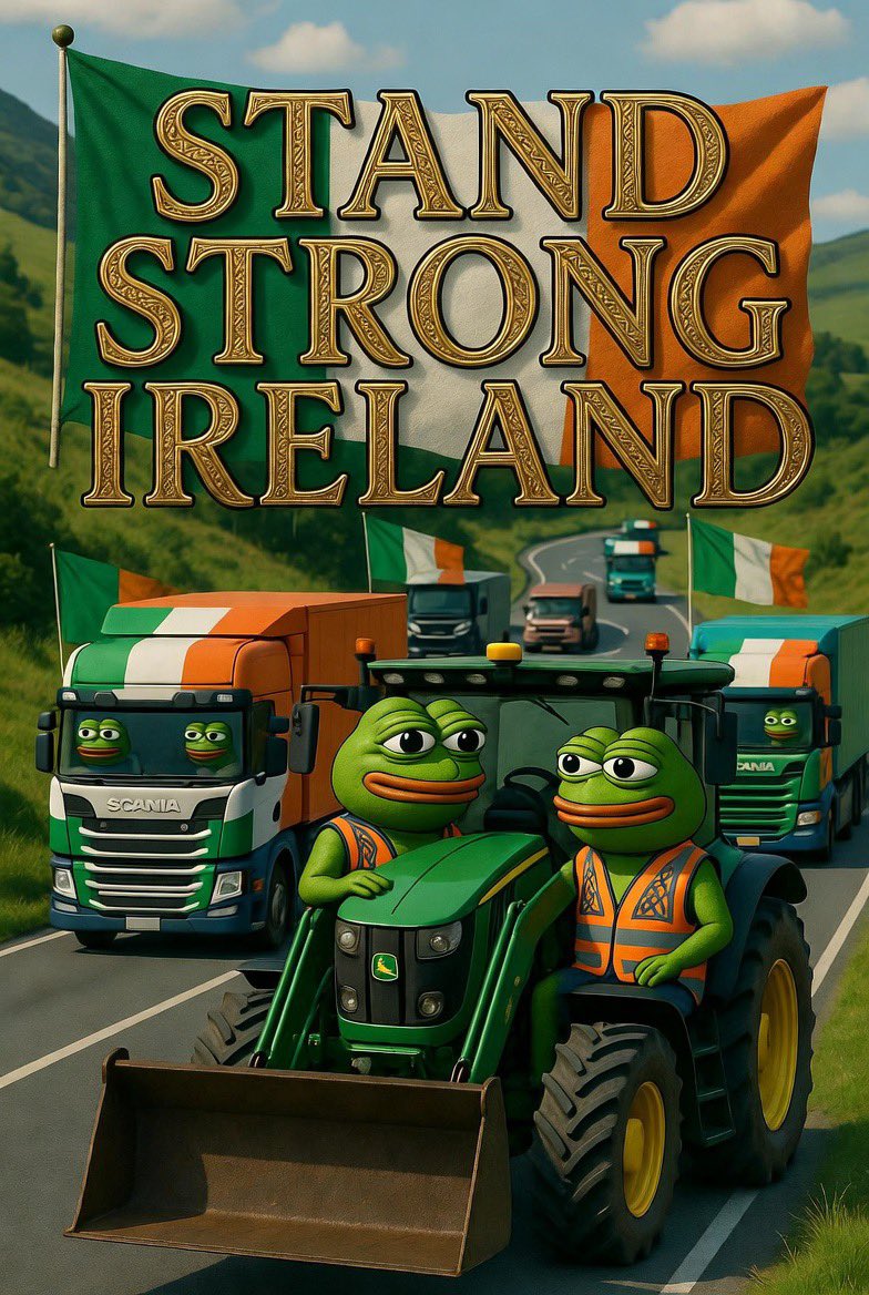 IRISH PATRIOT tweet media