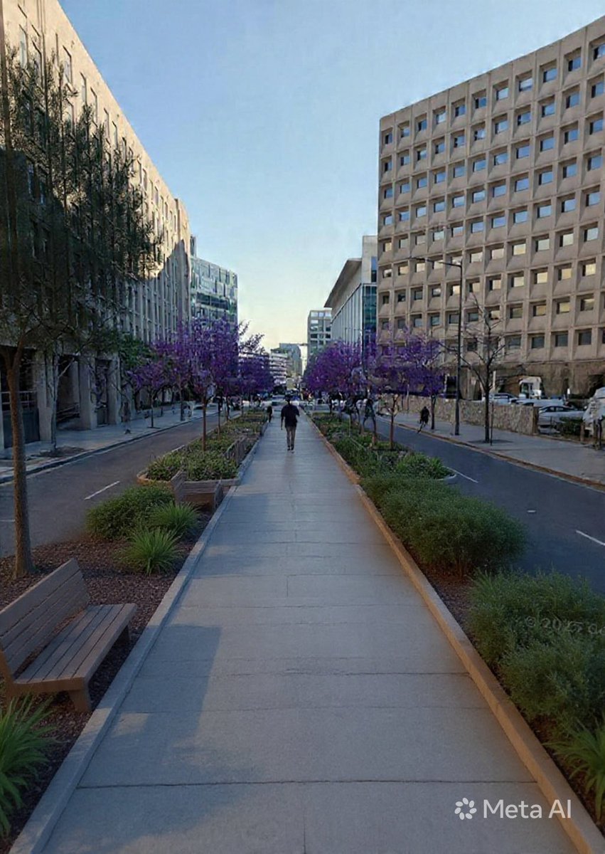 Anthony LaMesa tweet media