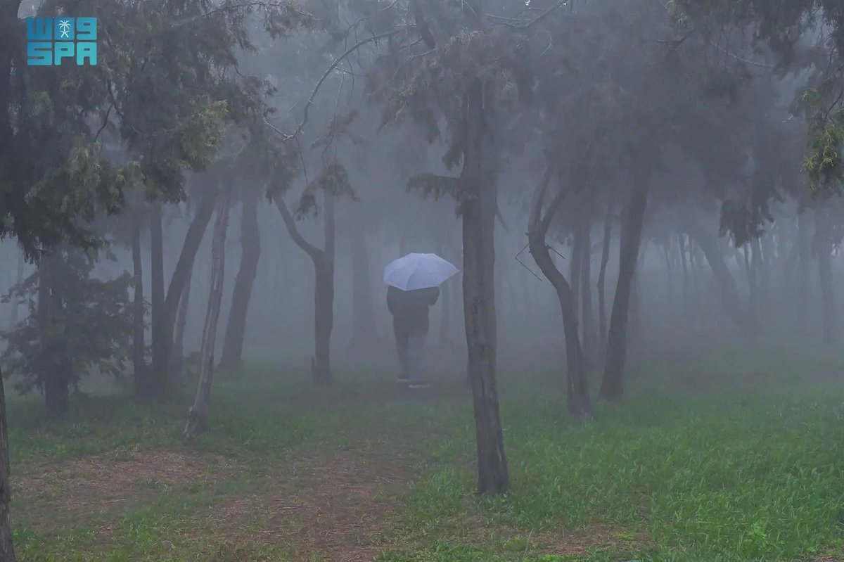 واس جودة الحياة tweet media