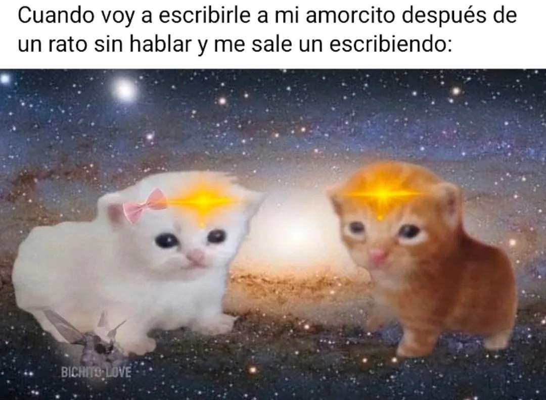 Mundo de Bigotes tweet media