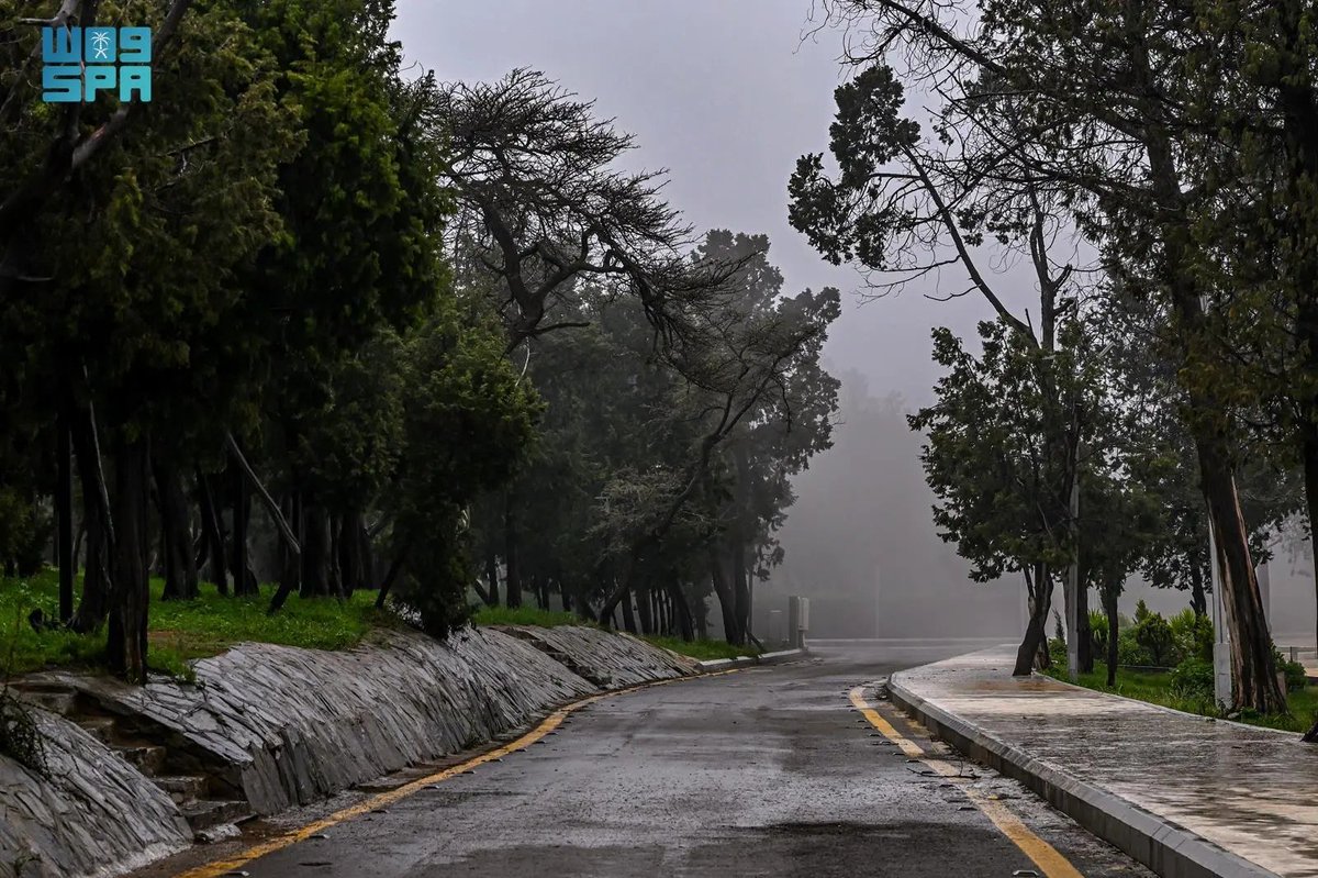 واس جودة الحياة tweet media