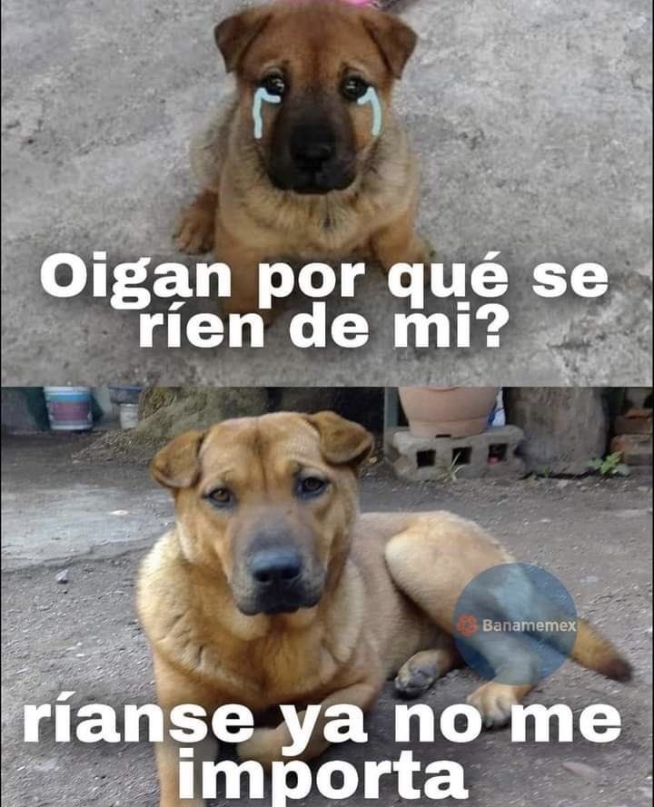 prepuyumes tweet media