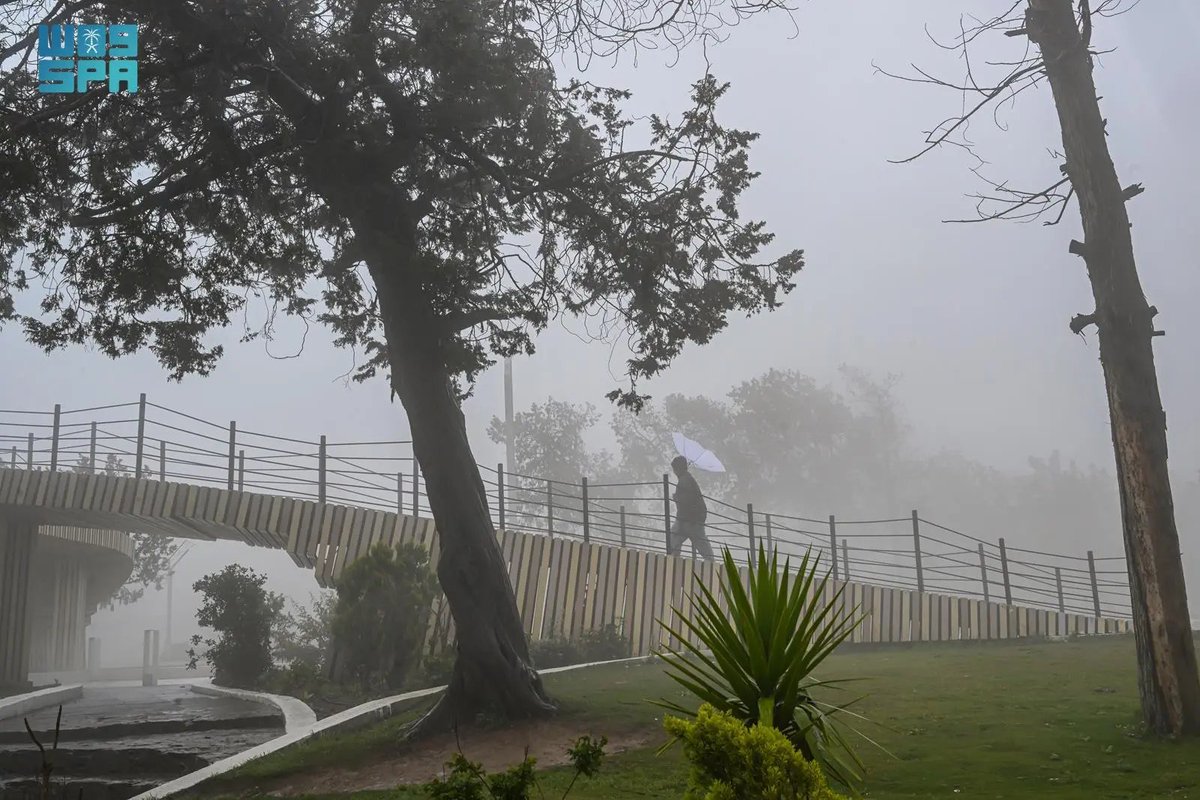 واس جودة الحياة tweet media