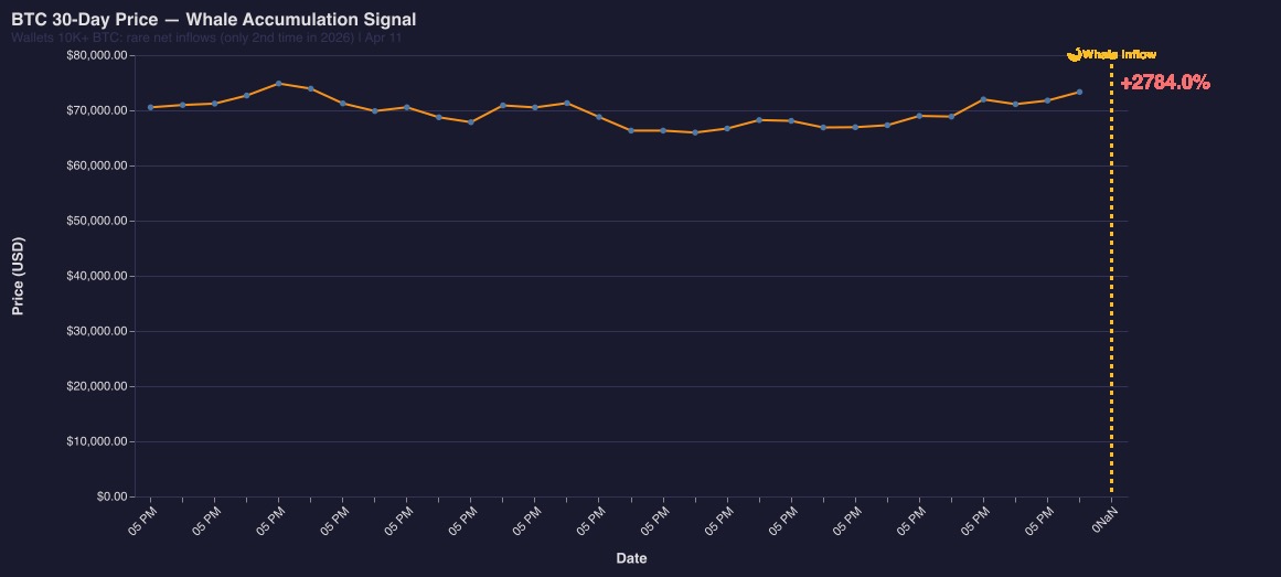 WhaleDesk's tweet photo. 🐋 CRYPTO WHALE ALERT: BTC wallets holding 10,000+ BTC just saw net INFLOWS — only the 2nd time in 2026. Smart money accumulating at $73K while K call options hit $1.6B open interest. Supply squeeze incoming? #CryptoWhale #Bitcoin #Crypto https://t.co/Hsta8oiCuh