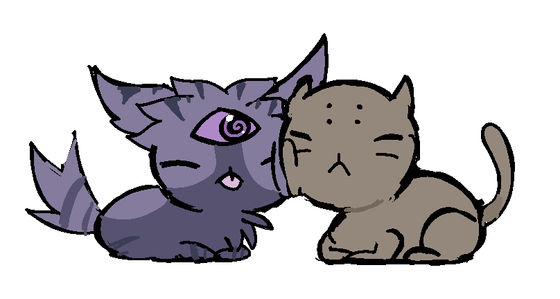 Truba🥝 tweet media