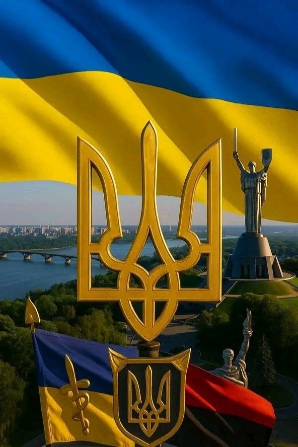 Eugénia 💫🍀 tweet media