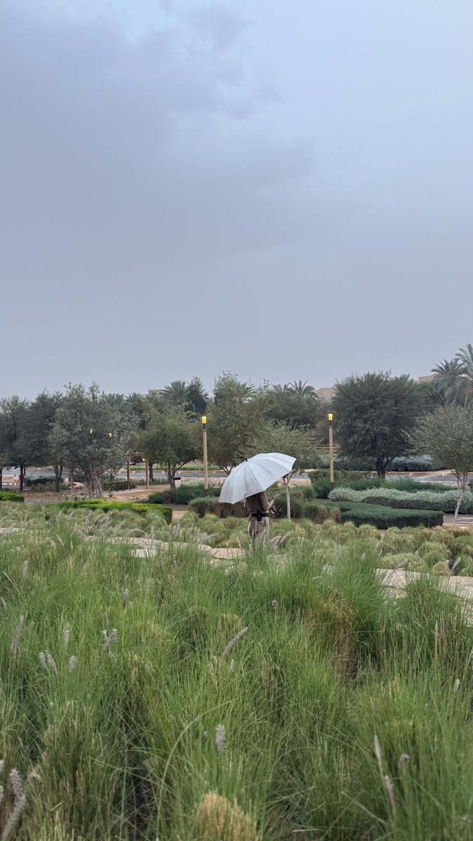 Fale7🥈 tweet media