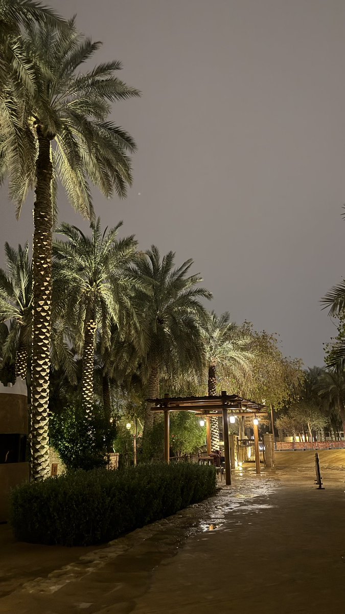 Fale7🥈 tweet media