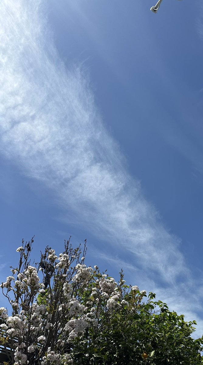 mi-ko(미즈호) tweet media