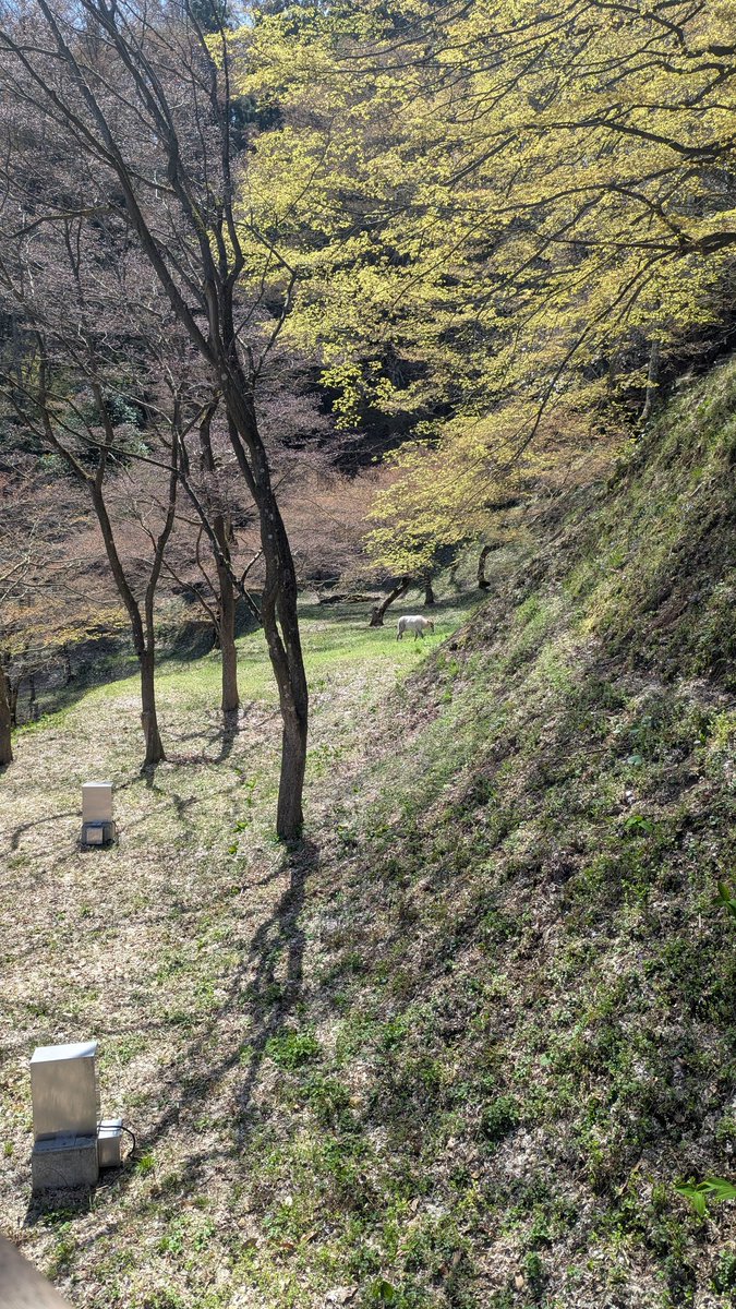 へりょ（アルテ） tweet media