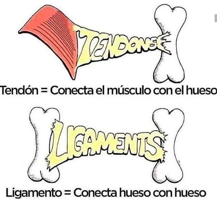 Enséñame de Ciencia tweet media