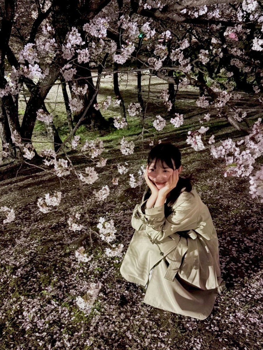 haruko_jrt's tweet photo. 夜桜🌸 https://t.co/G1JGRxXU1D