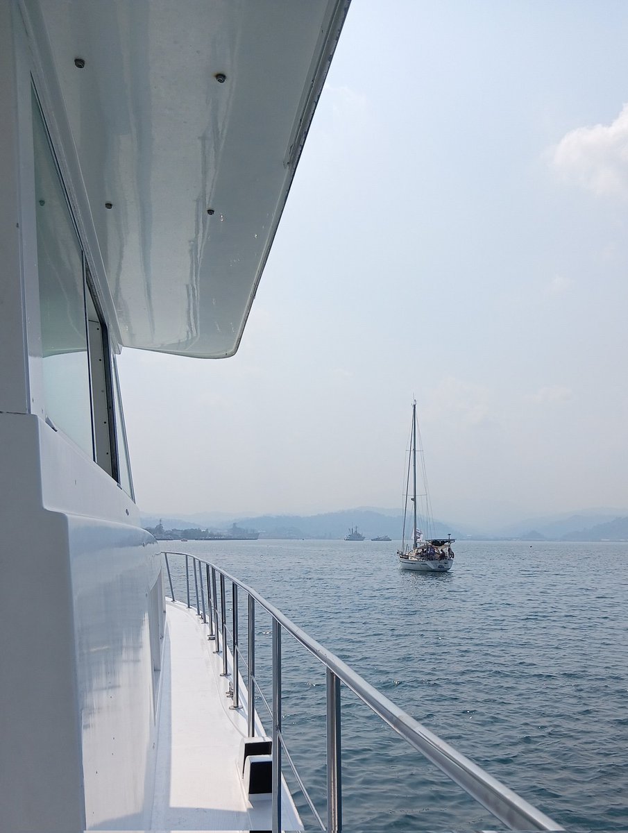 Lumi Lykha tweet media