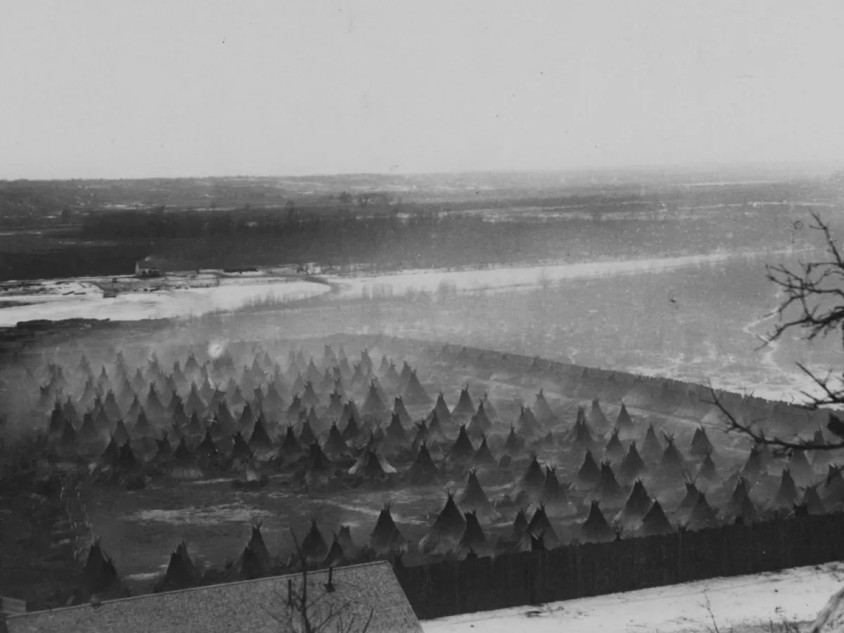 Swoletariat🥥🌴💊 tweet media