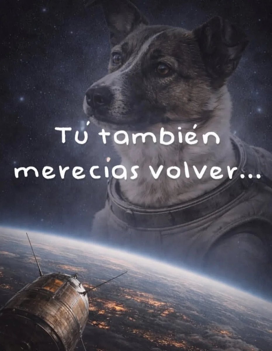 Rincón Curioso tweet media