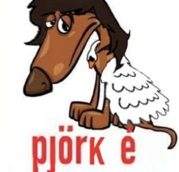 Rodney Di tweet media