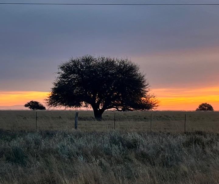Franco Marenda 🇦🇷 tweet media
