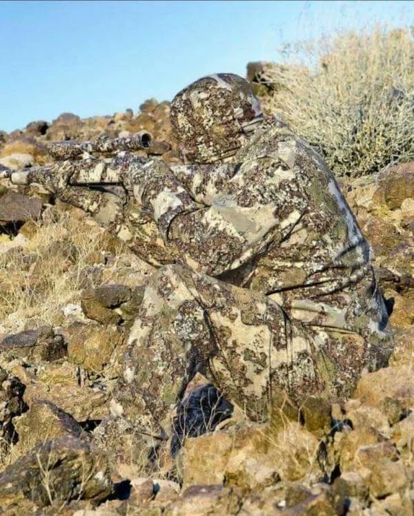 AwakeNotWoke tweet media