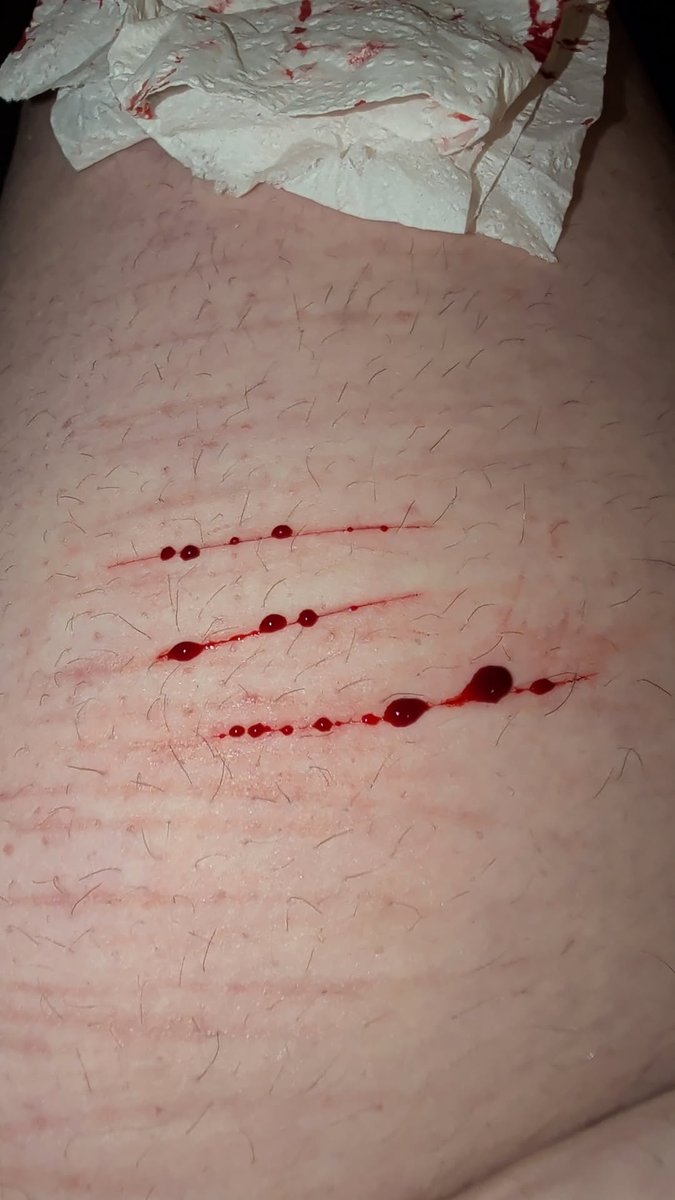 mike wheeler of shtwt tweet media