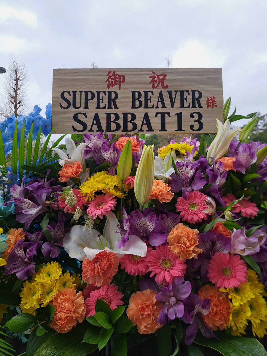 トマト tweet media