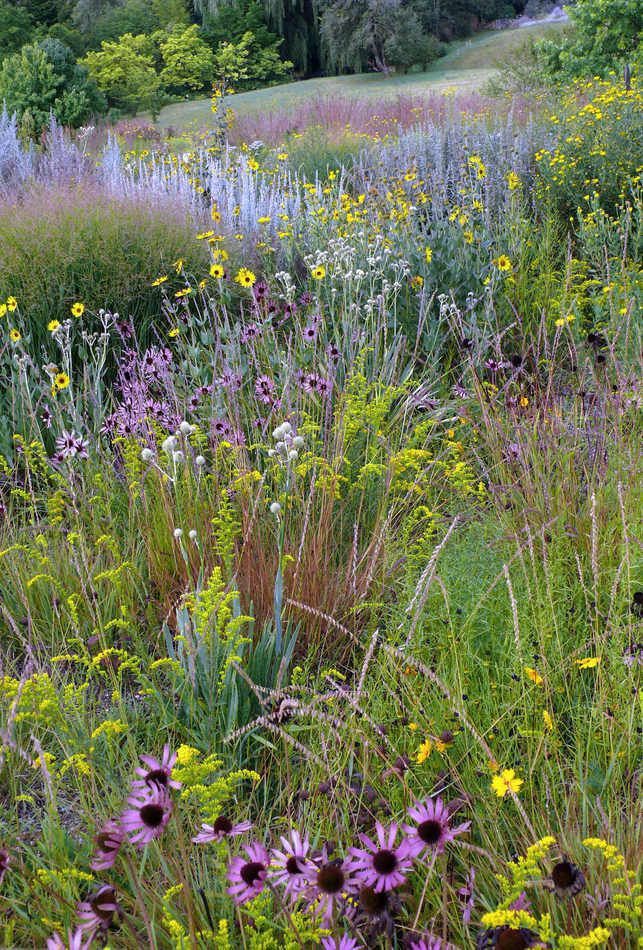 Exploreforever tweet media