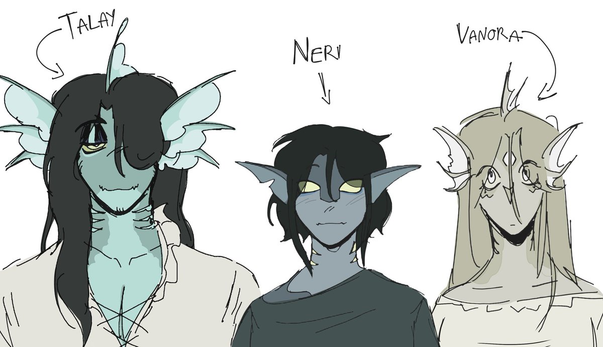 TOFU/GELLO tweet media