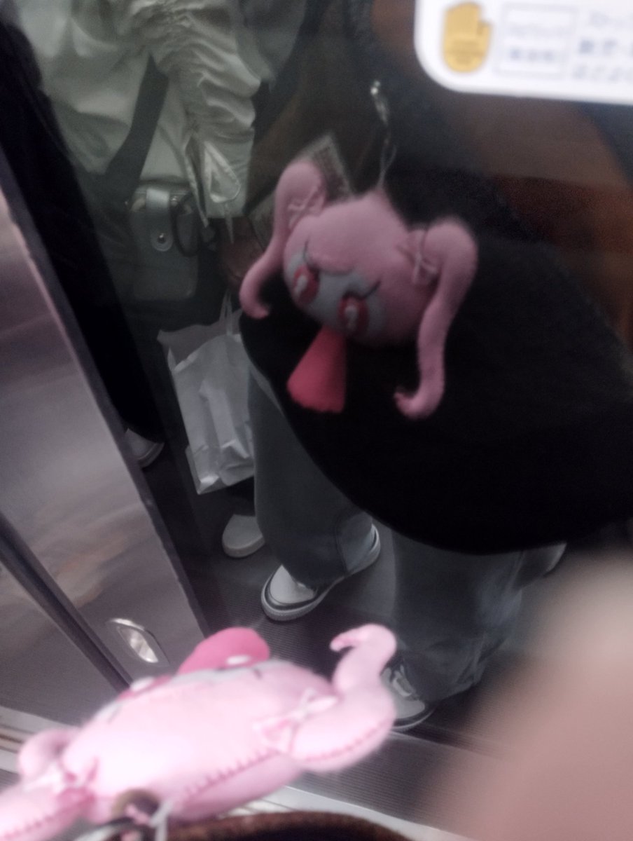 きょろぴっぴ tweet media