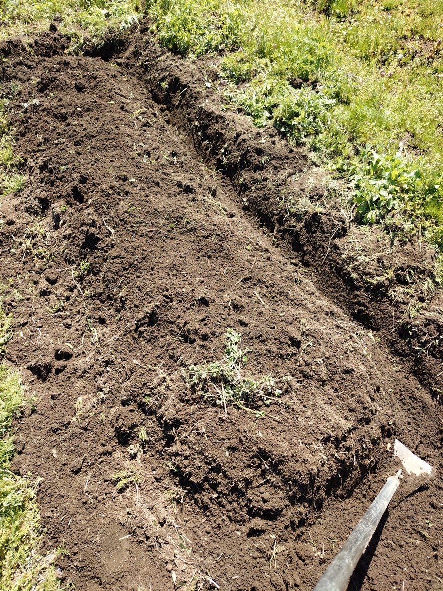 A.KITAGUCHI tweet media