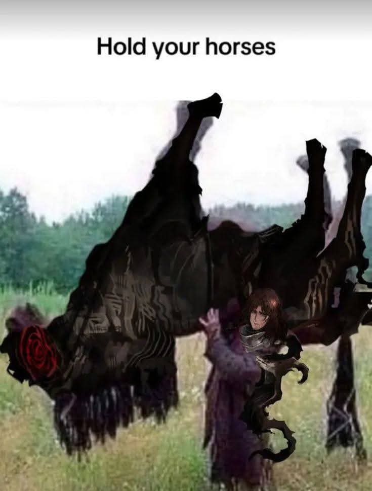 Mambo follower tweet media