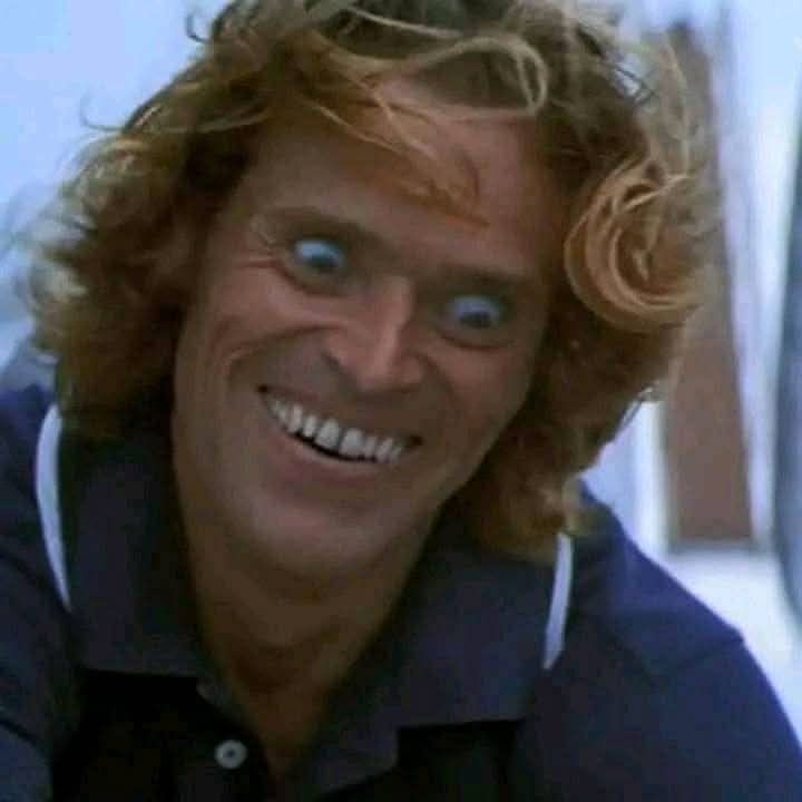 Bunnicula Falcon tweet media