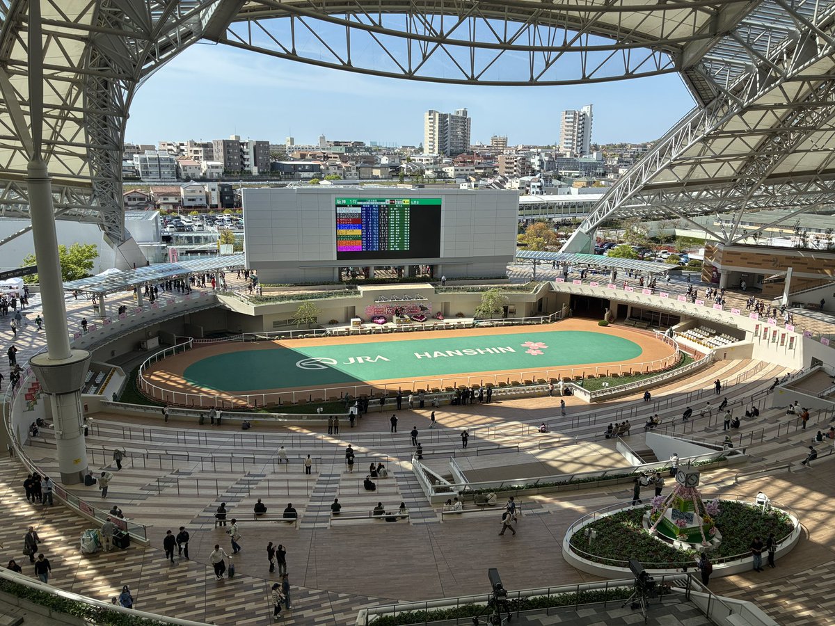 みんと^ↀᴥↀ^🌸🐎 tweet media