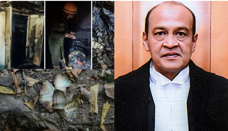 BHANU KOGANTI tweet media