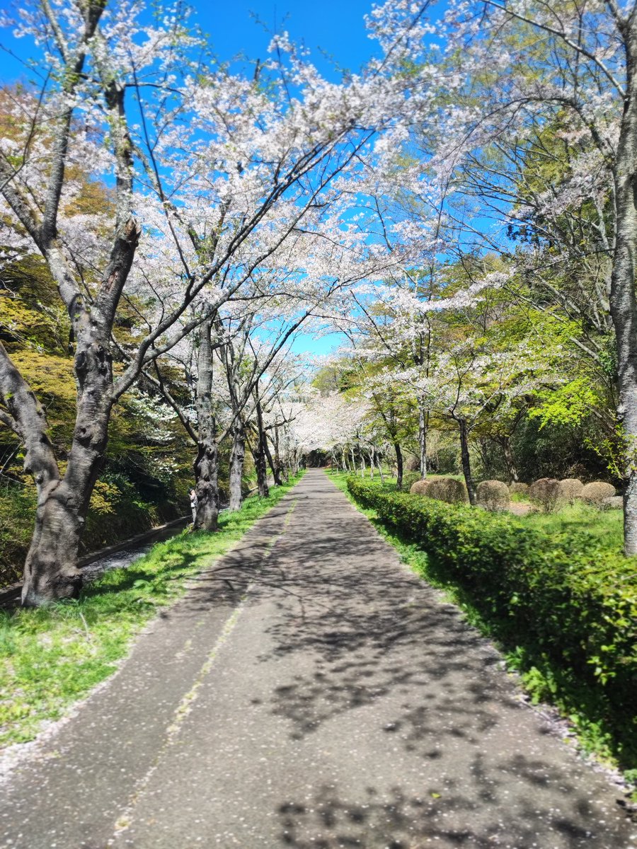 9800000000ms tweet media