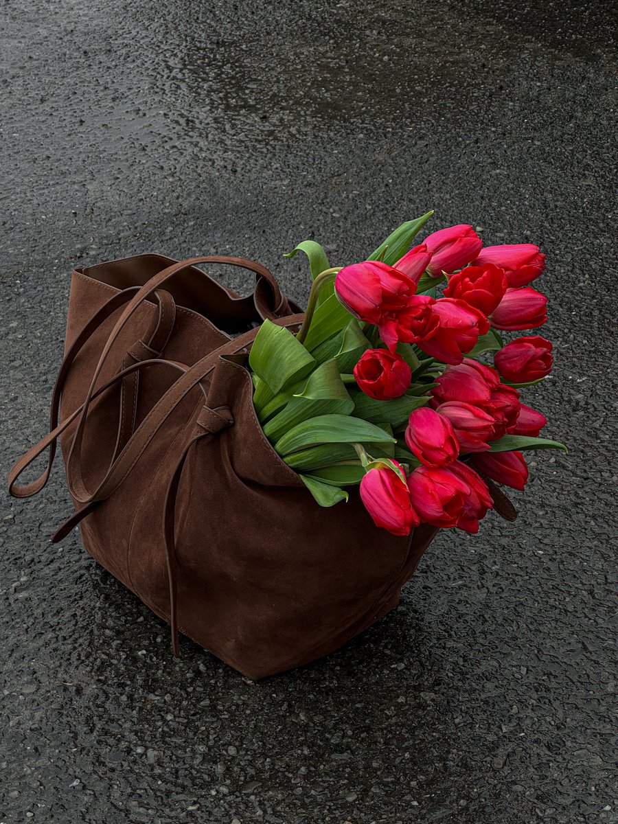 tutututututulip's tweet photo. https://t.co/AOXEBtVld2
