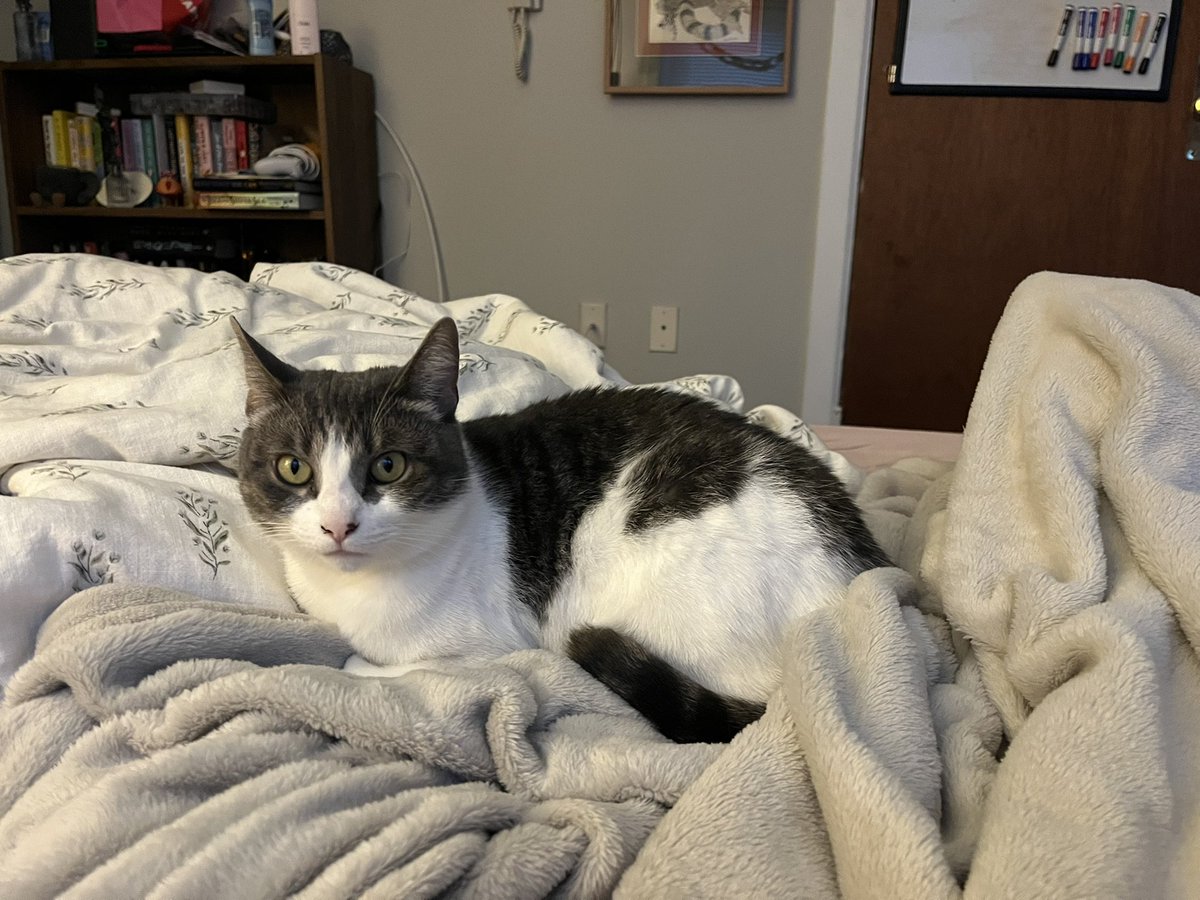 mira🥀 tweet media