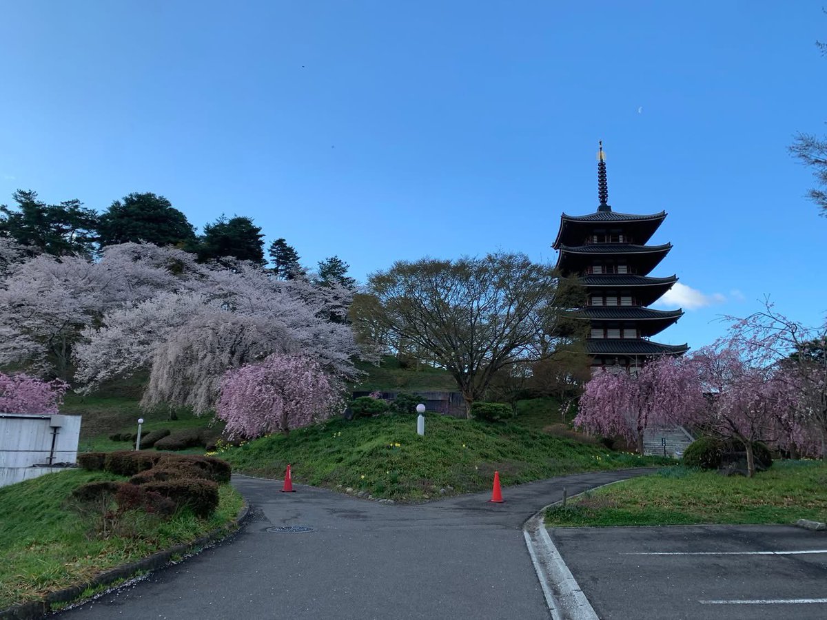adatigaharakeik's tweet photo. 安達ヶ原公園は桜の名所です。今年はもう散り始めとなりました。
私は公園の裏側（北側）から��景観が好きです。ふるさと村もありますが、水田と畑が広がり、子供の頃に農作業を手伝いながら眺めた風景です。
ふるさと村の五重塔と古民家、水車が昔の景観を作り出しています。 https://t.co/nWb7q45u8U