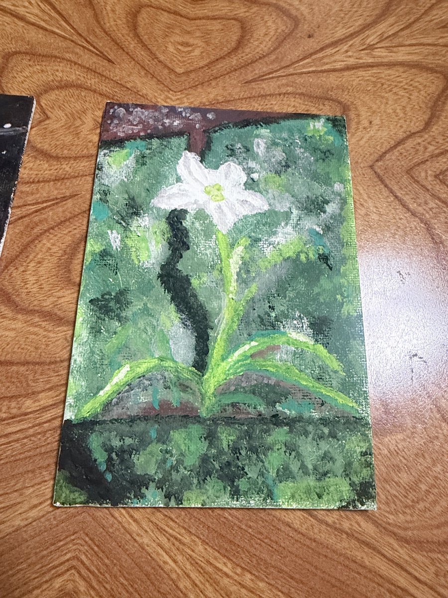 ウルフฅ˙Ⱉ˙ฅ tweet media